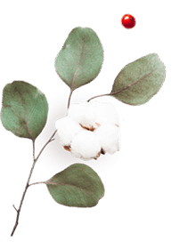 https://ella-xv.click/wp-content/uploads/2020/10/floating_image_06.png