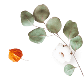 https://ella-xv.click/wp-content/uploads/2020/10/floating_image_07.png