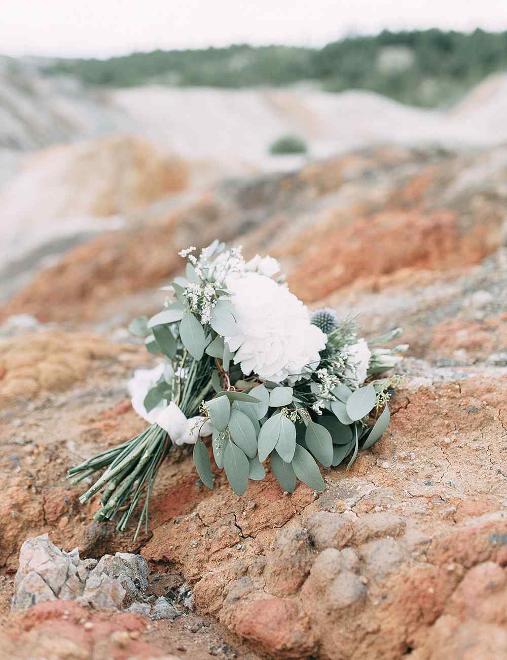 https://ella-xv.click/wp-content/uploads/2020/10/recent_work_03.jpg