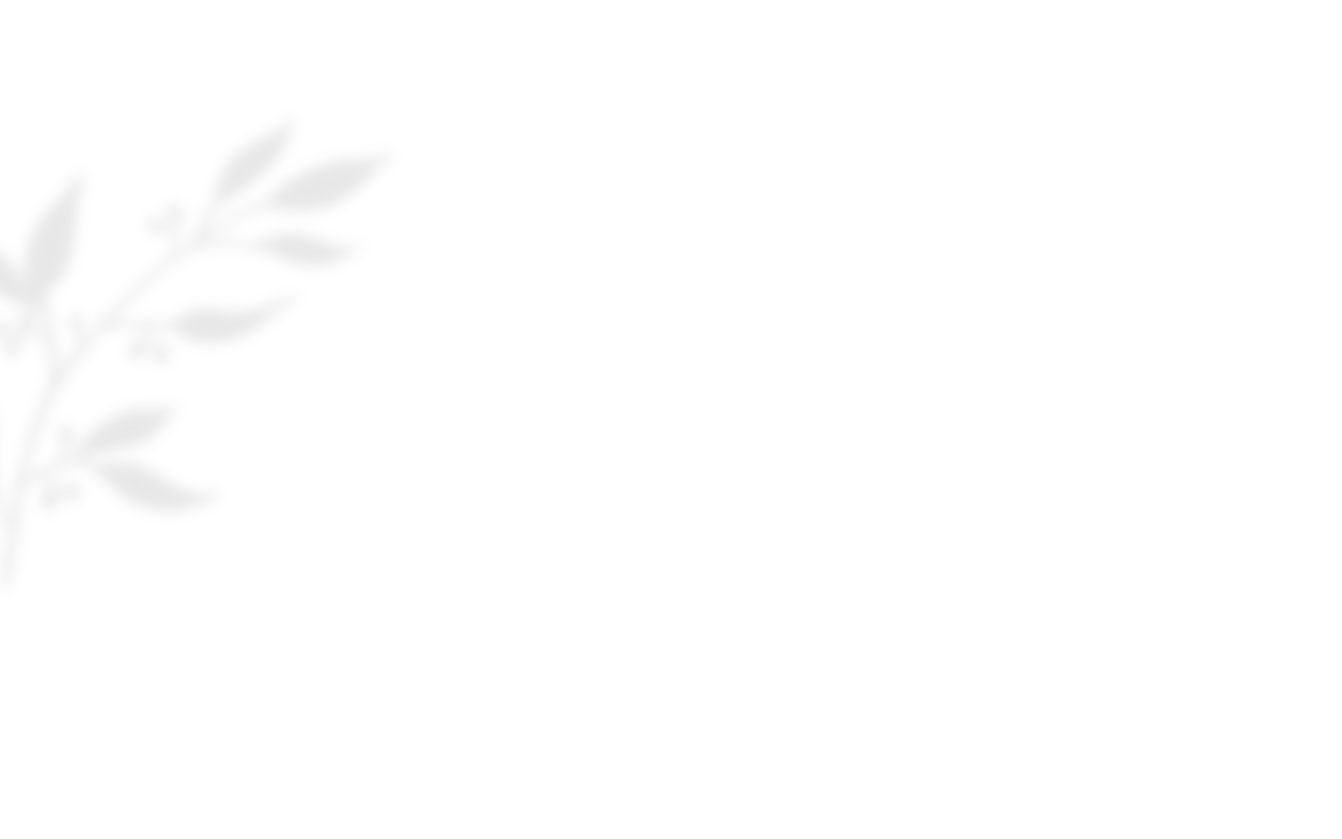 https://ella-xv.click/wp-content/uploads/2020/10/shadow_leaves_03.png
