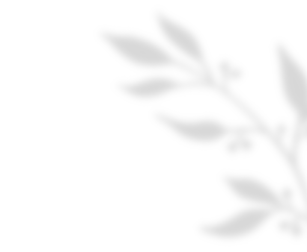 shadow_leaves_01 https://ella-xv.click/wp-content/uploads/2020/11/shadow_leaves_01.png